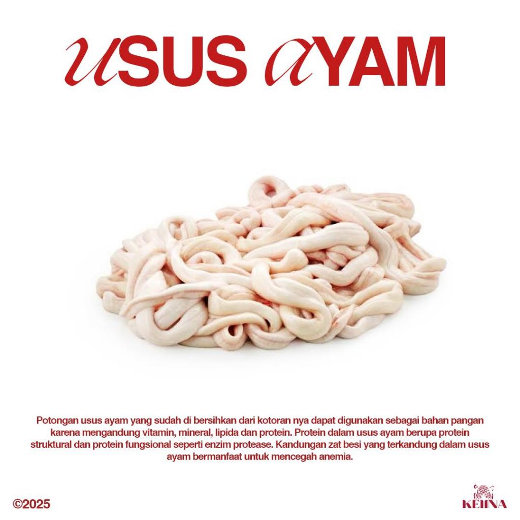 

Usus Ayam Jeroan Bersih Segar Fresh Frozen Beku Premium