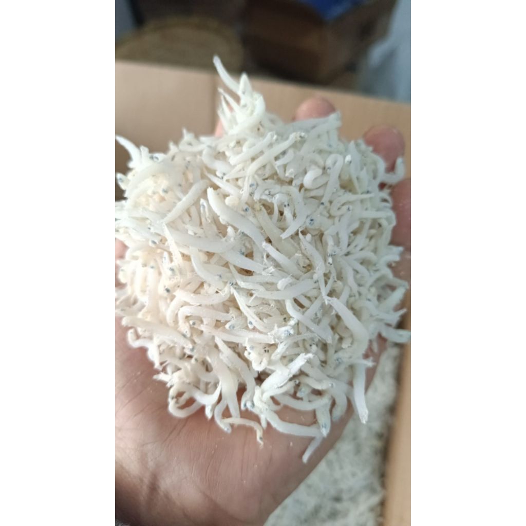 

Teri Nasi Super