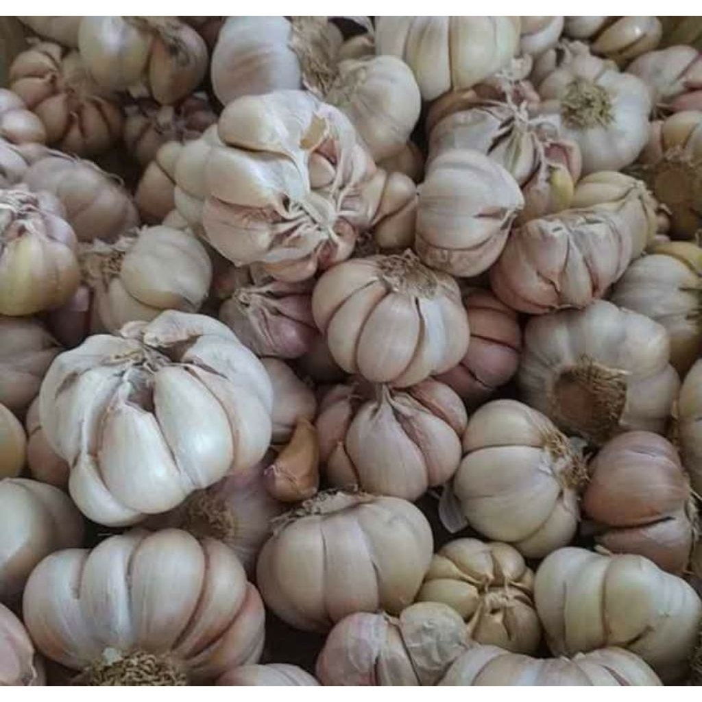 

BAWANG PUTIH 1 KILOGRAM BERSIH BERKUALITAS