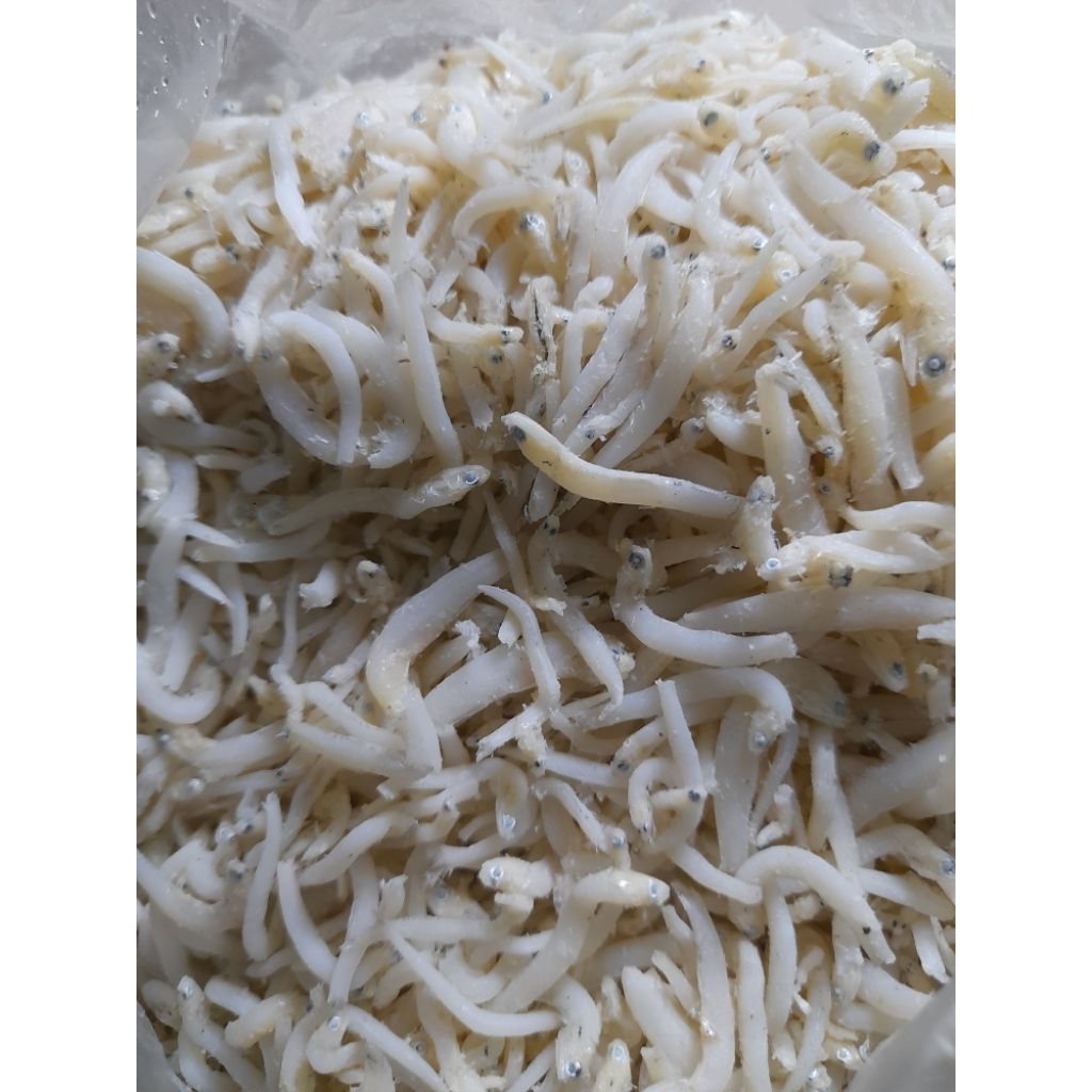 

Teri nasi harga untuk 1/2 kg