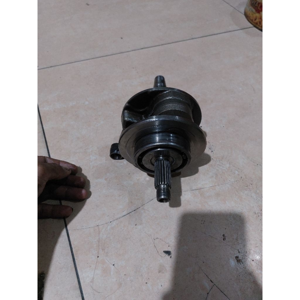 Kruk as tiger original copotan