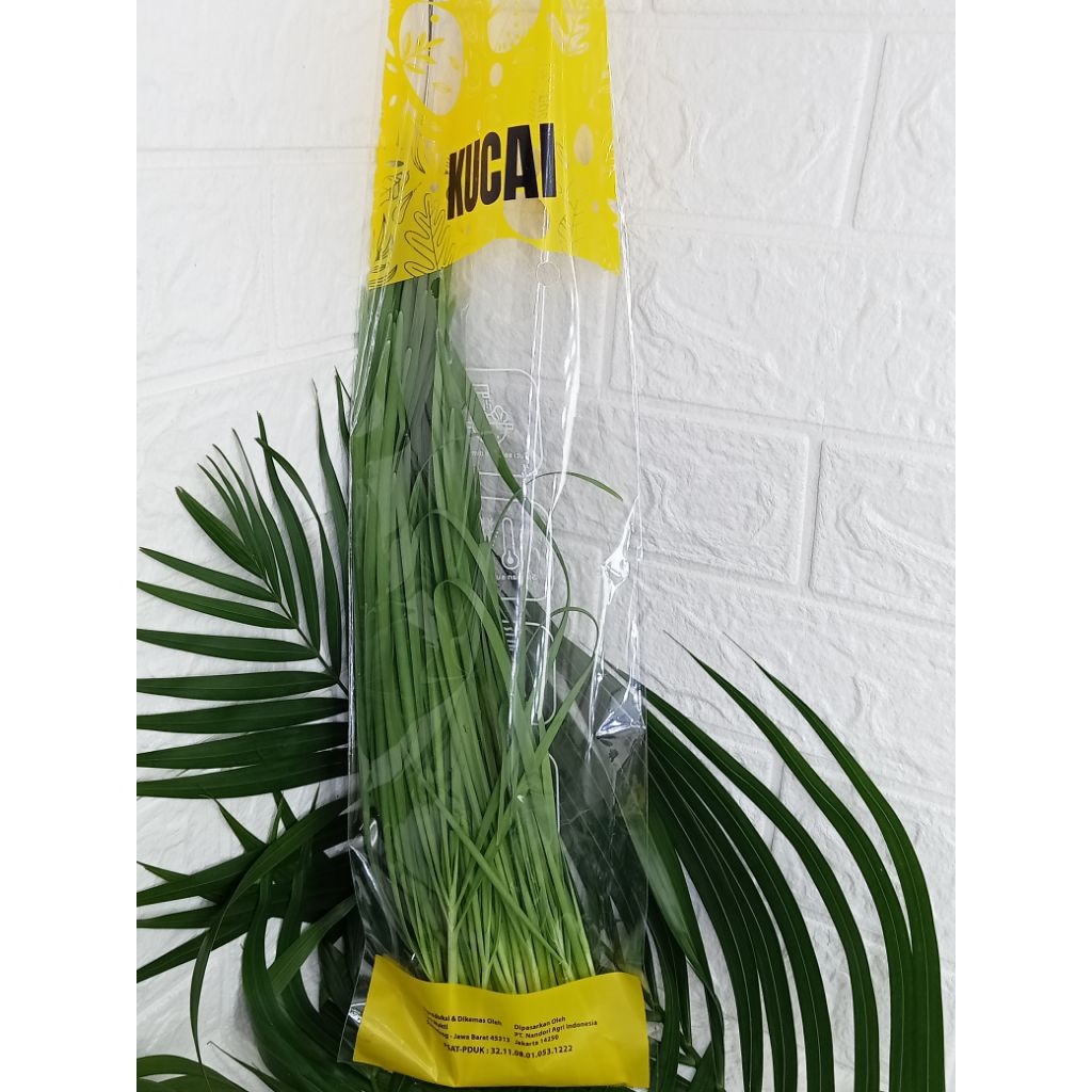 

DAUN KUCAI SEGAR 250GRAM