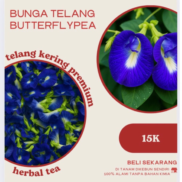 

Bunga Telang/Butterflypea Kering Premium – Siap Seduh & Siap Pakai