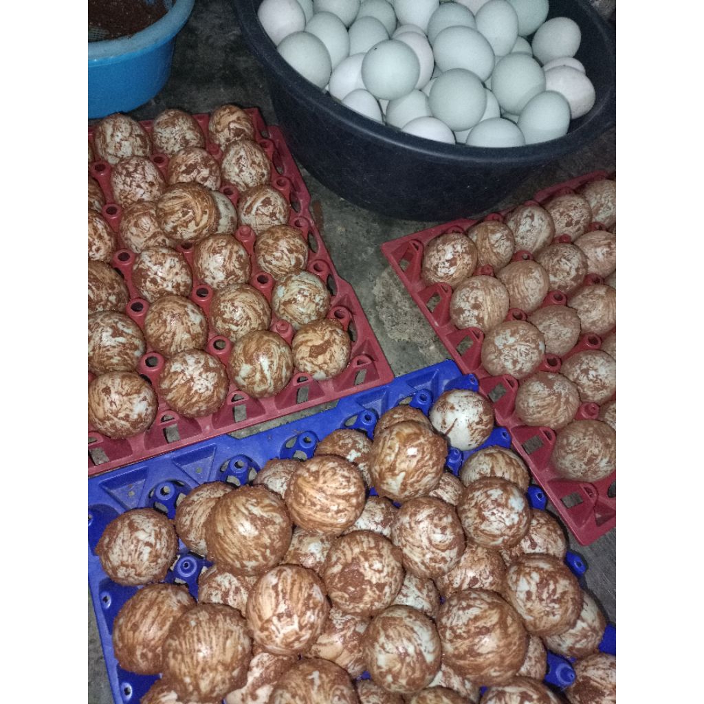 

Telur asin bebek matang