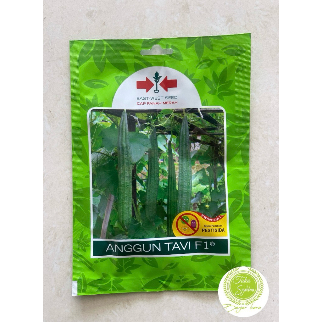 

cap panah merah - benih oyong anggun tavi isi 20 butir