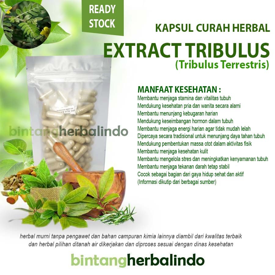 Kapsul Curah EKSTRAK TRIBULUS 200x500mg Stamina Pria Kesuburan Testosteron Suplemen Alami