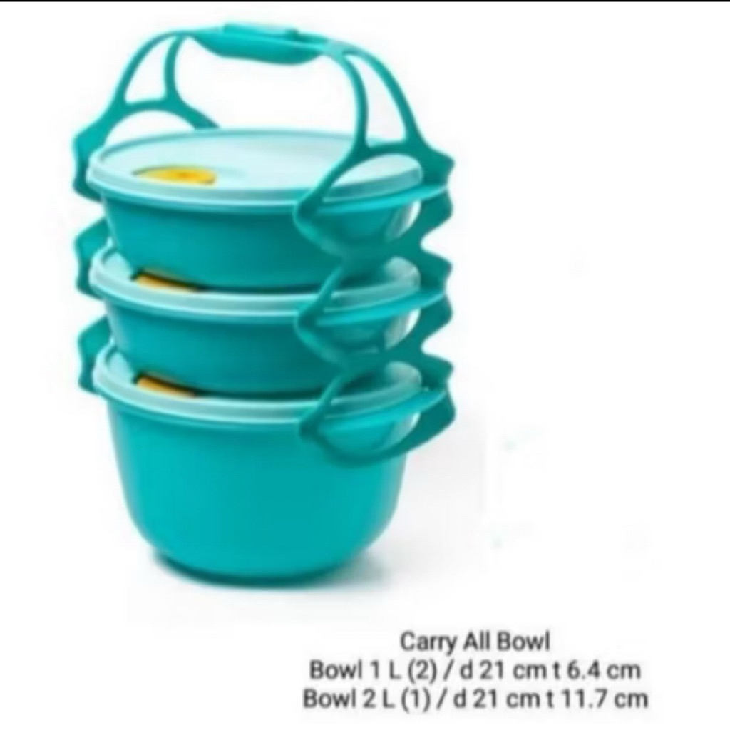 READY STOK carry all bowl Tupperware bisa masuk microwave