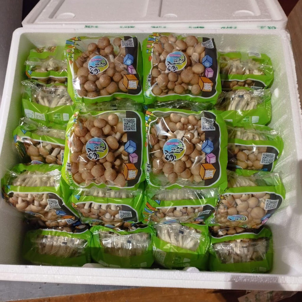 

Jamur Shimeji Coklat