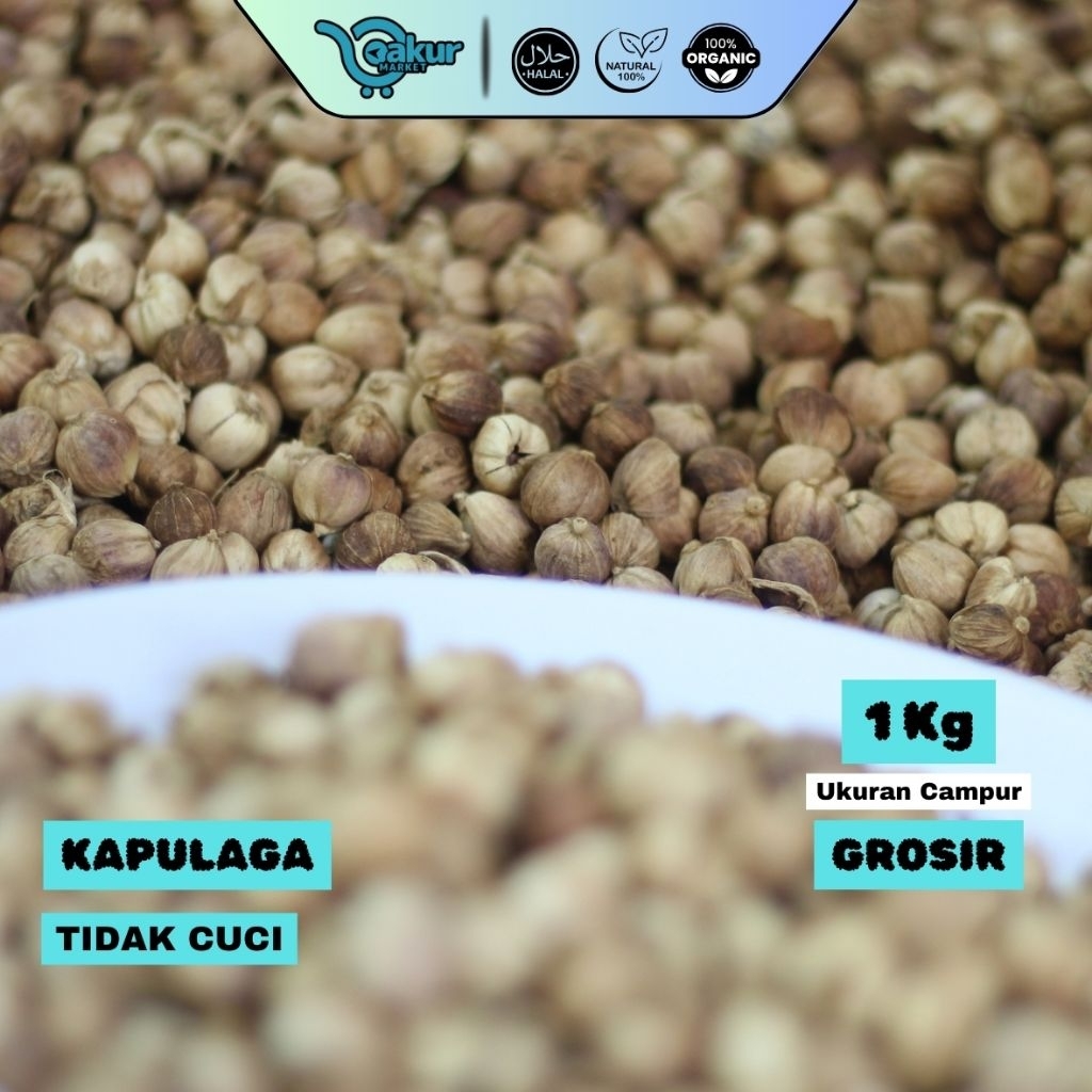 

[GROSIR] 1 kg Kapulaga Kering Utuh Kualitas Ekspor Rempah Premium TIDAK CUCI Panen Baru Langsung dari Petani