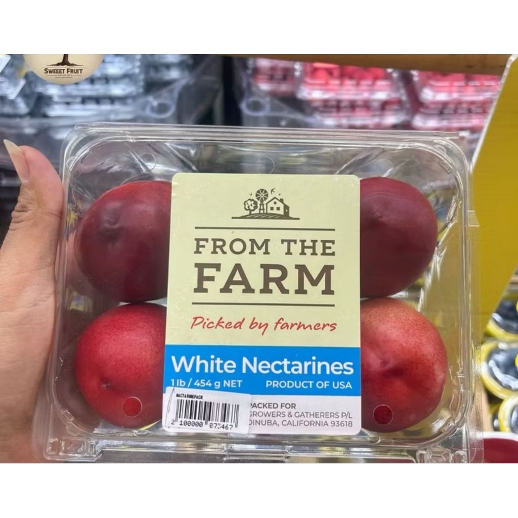 

Nectarine Yellow USA 454 Grm Per Pack