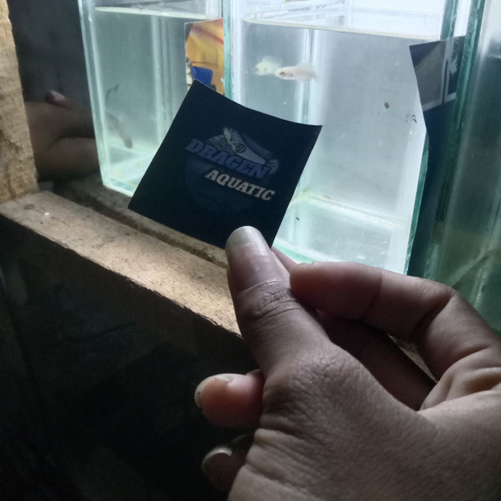 

stiker andrau ombyok 4-6