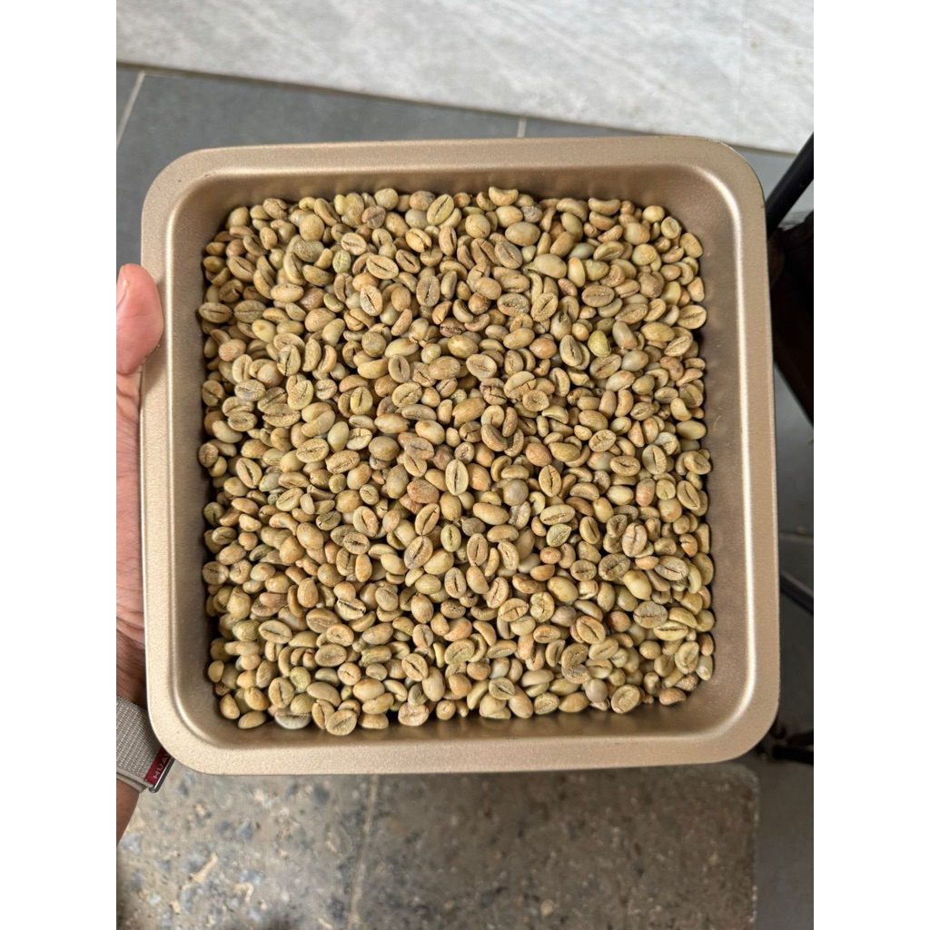 

gb robusta grade 1 temanggung