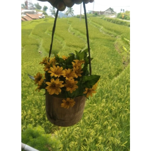 Pot bambu alami gantung