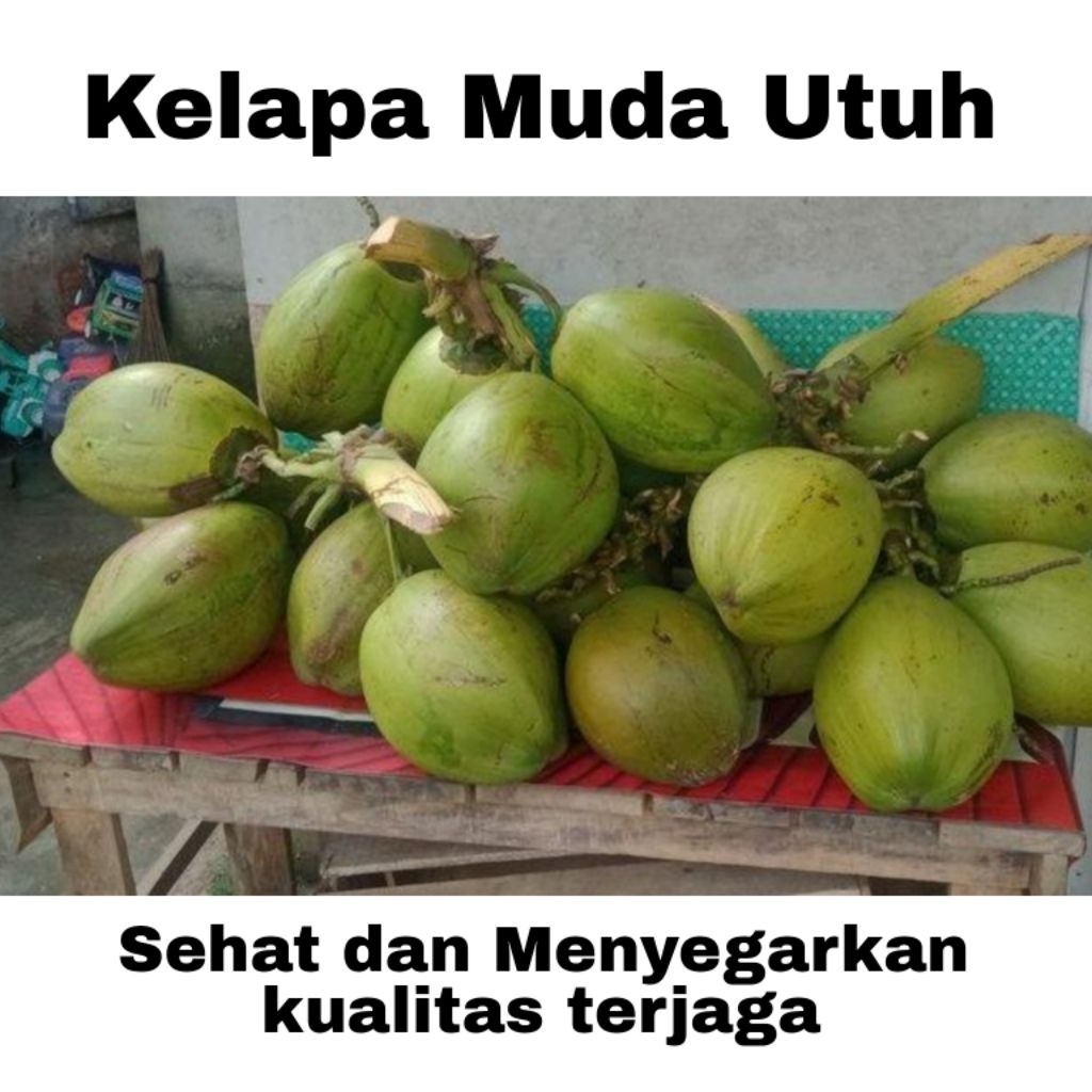 

Kelapa Muda Utuh per/ Butir