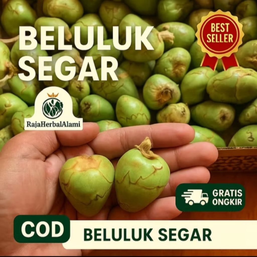 

tembuluk kelapa | bluluk kelapa kecil isi 5 pcs