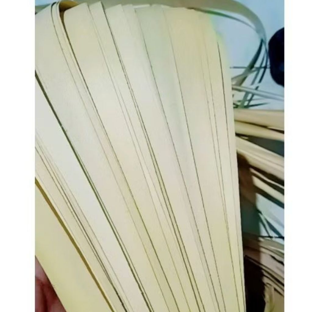 

Daun Siwalan / Lontar / Ental (MUDA) LEBAR FULL 5cm TULIS, BUNGA, SLOMPRET
