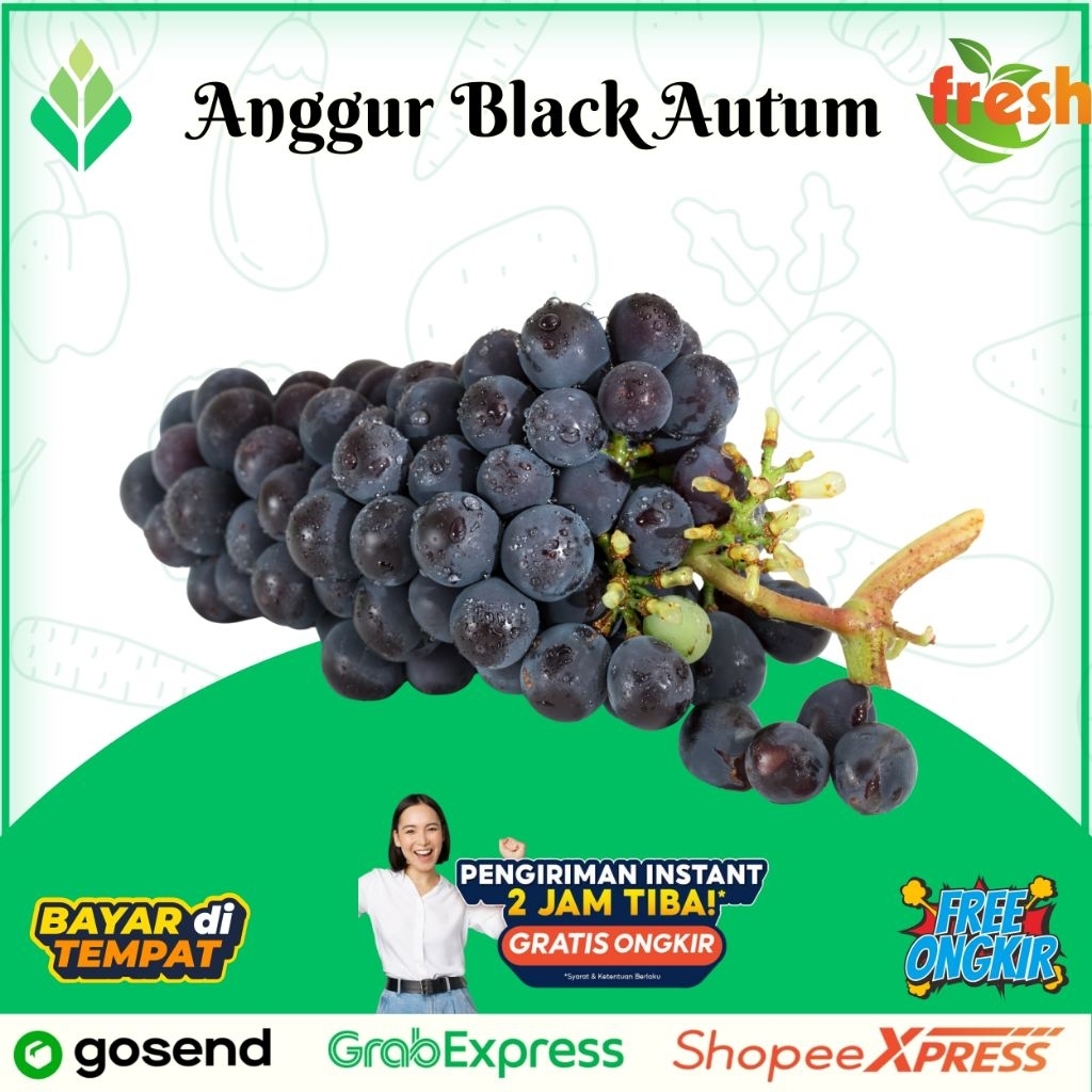 

Anggur Black Autum Import