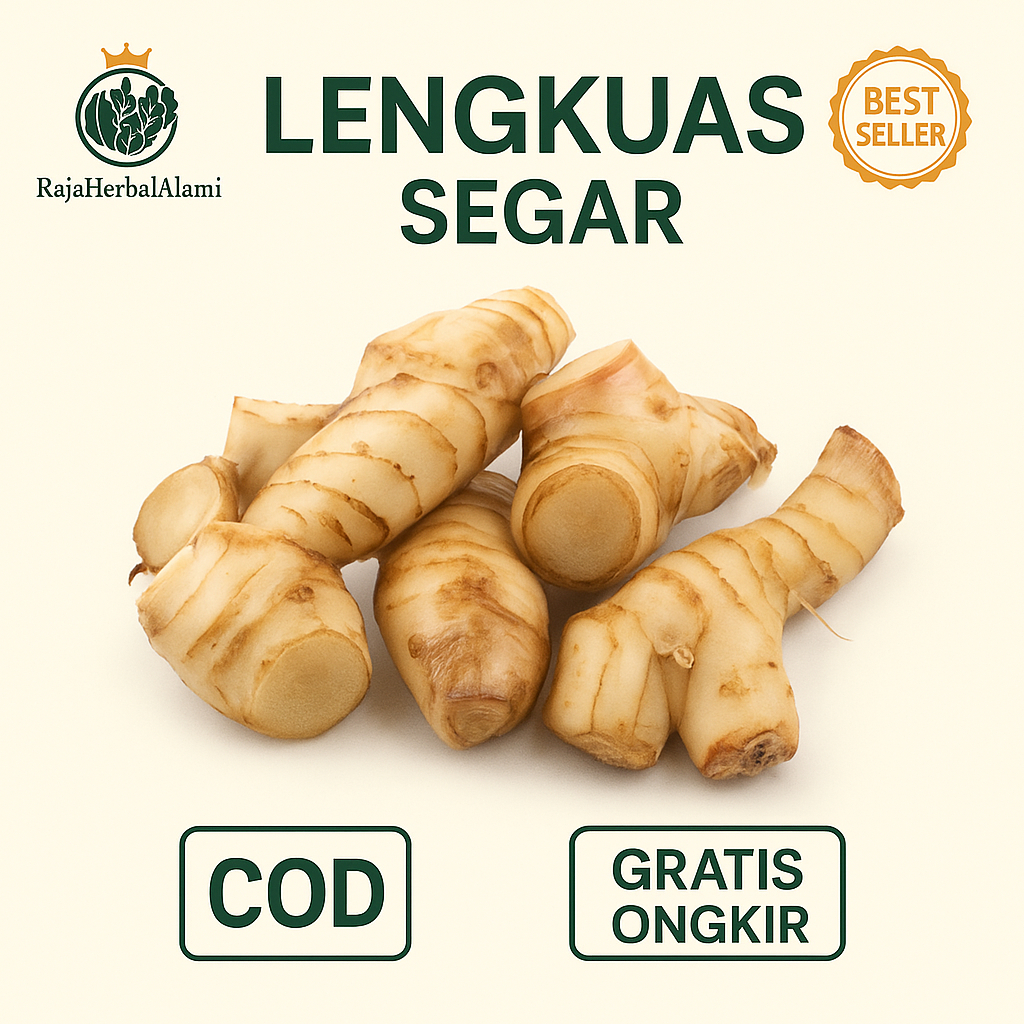 

Lengkuas Segar Siap Pakai - Cocok Untuk Menurunkan Kadar Gula Darah | COD
