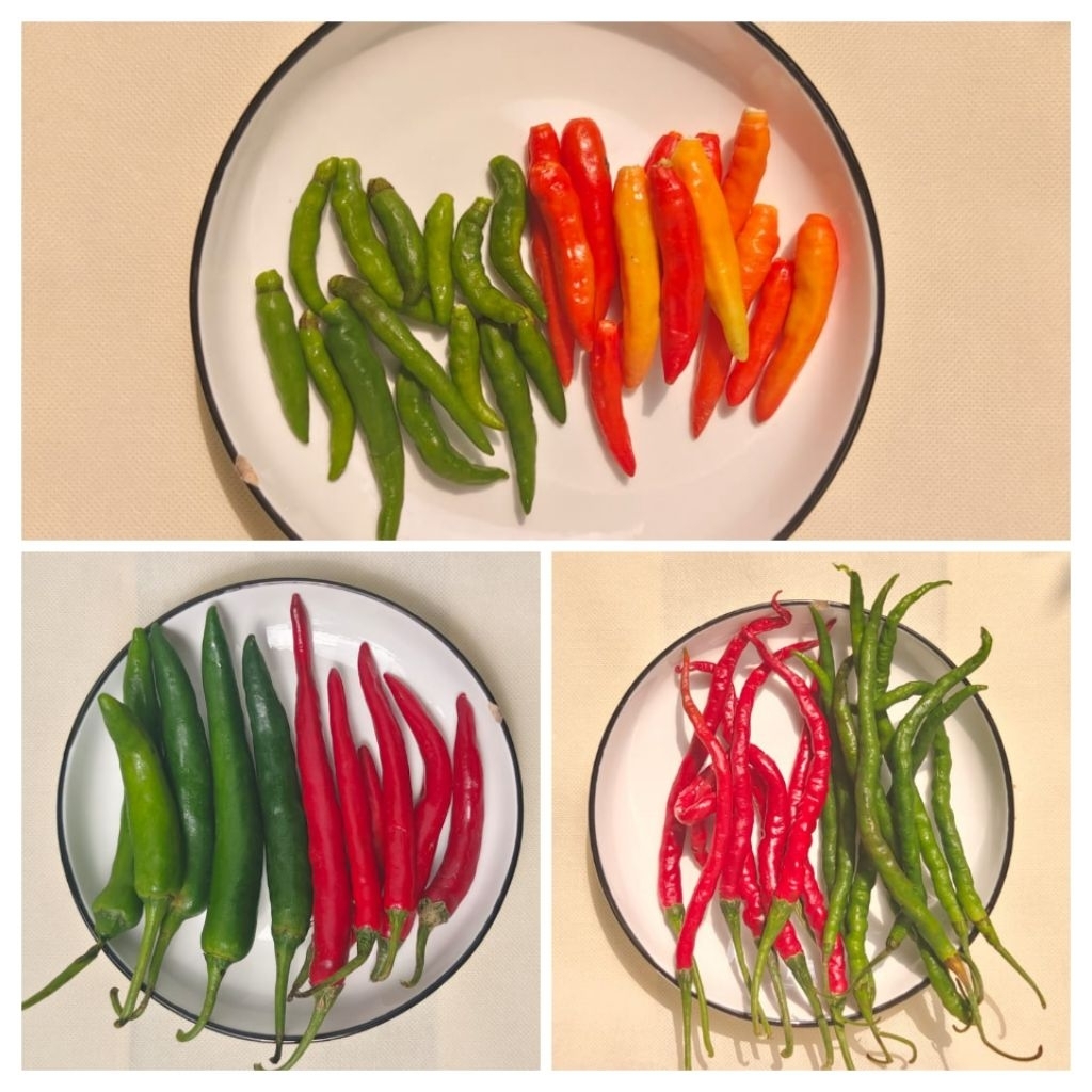 

Cabe Campur Papapangan - 125 gram