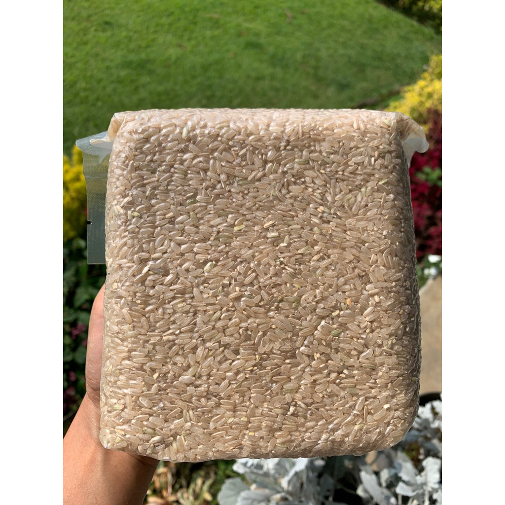 

beras cokelat organik pecah kulit 1kg