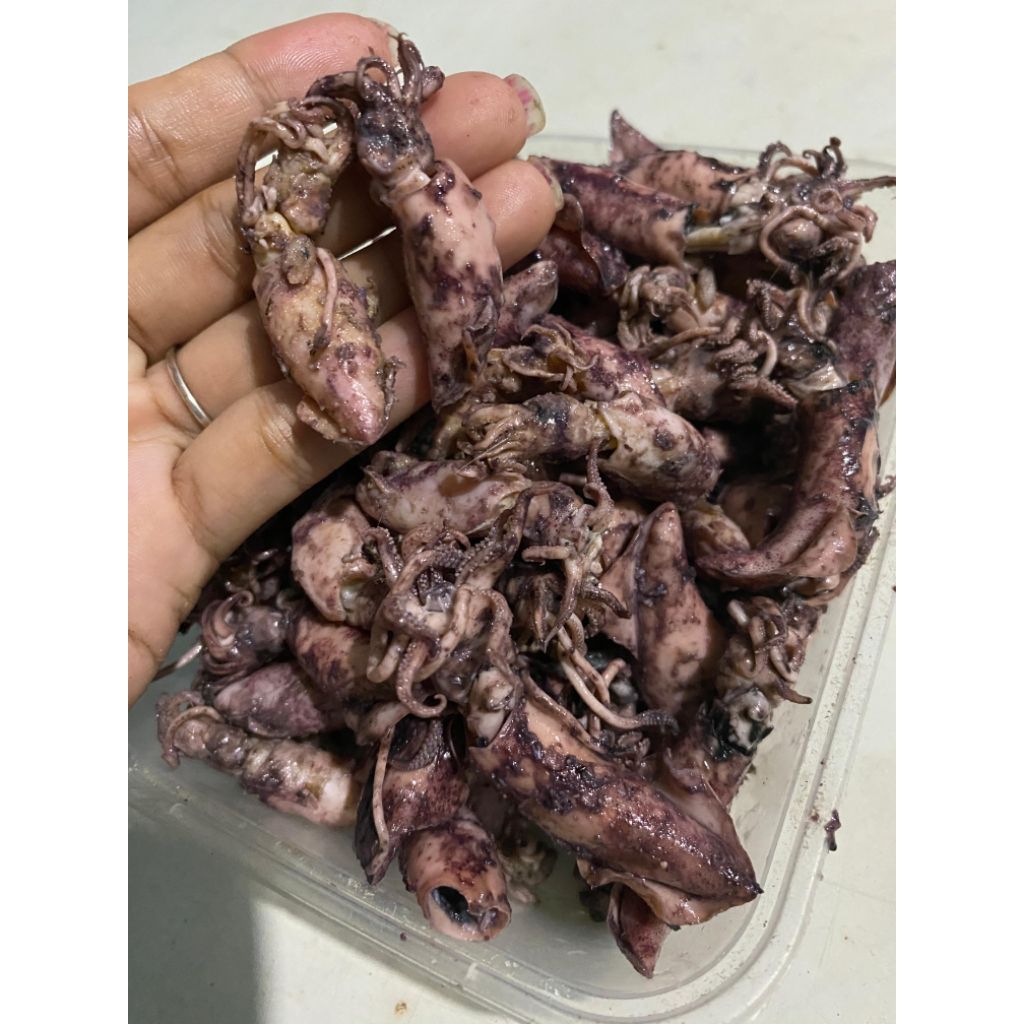 

Ikan Asin Cumi Baby Super Cumi Asin Baby Rebus Sotong Ukuran Kecil Sambal Cumi Asin