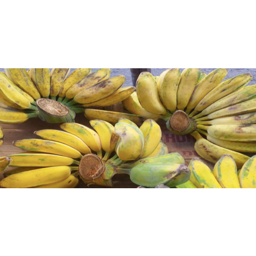 

Pisang Kepok 1 Sisir Medan Daily Market
