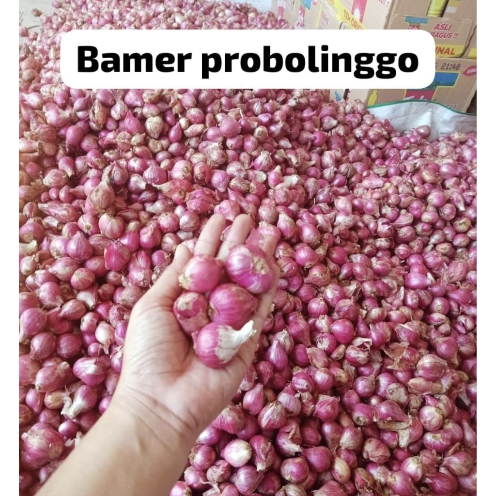 

bawangmerahprobolinggo