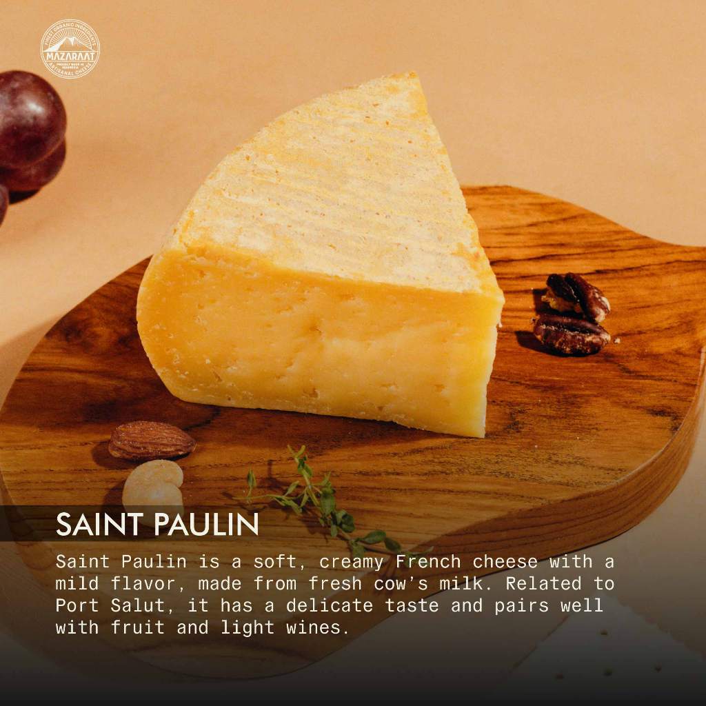 

MAZARAAT Keju Saint Paulint Mazaraat Semi-Soft French Cheese Rasa Creamy & Butterly