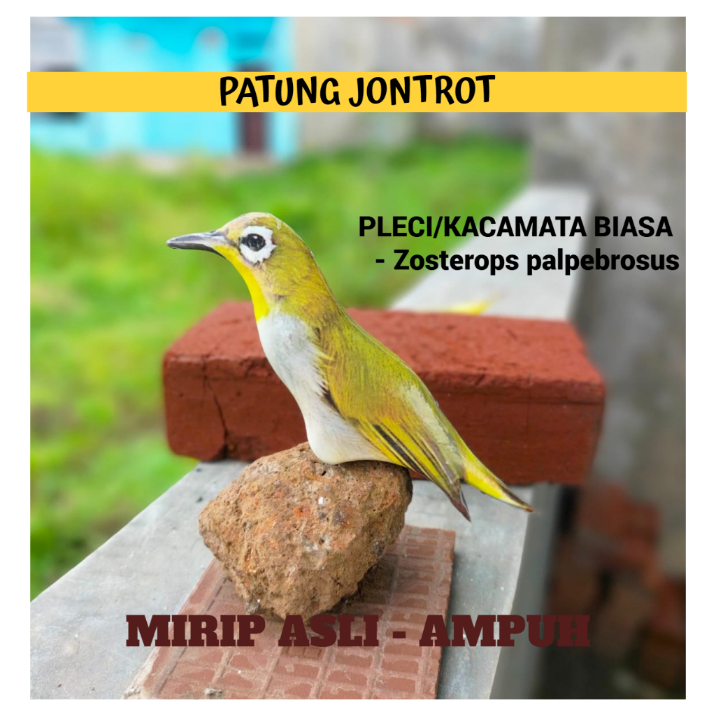 PATUNG JONTROT BURUNG PLECI/KACAMATA BIASA - JONTROT BURUNG PLECI/KACAMATA BIASA
