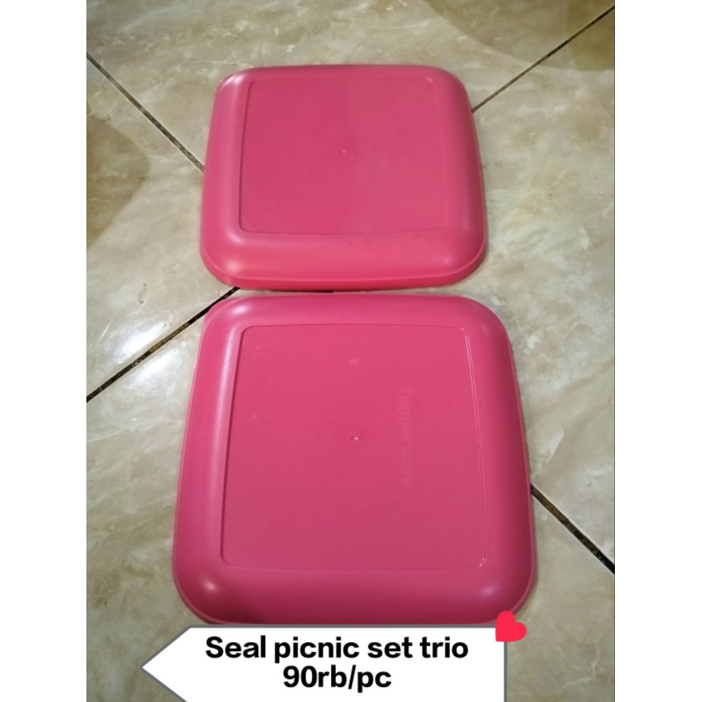 Tupperware tutup dan base picnic set trio
