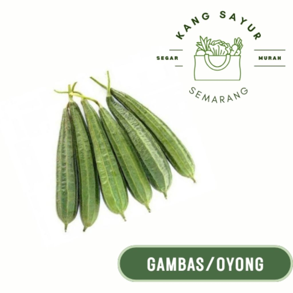 

Gambas/Oyong Satuan - Sayur Segar Online Semarang