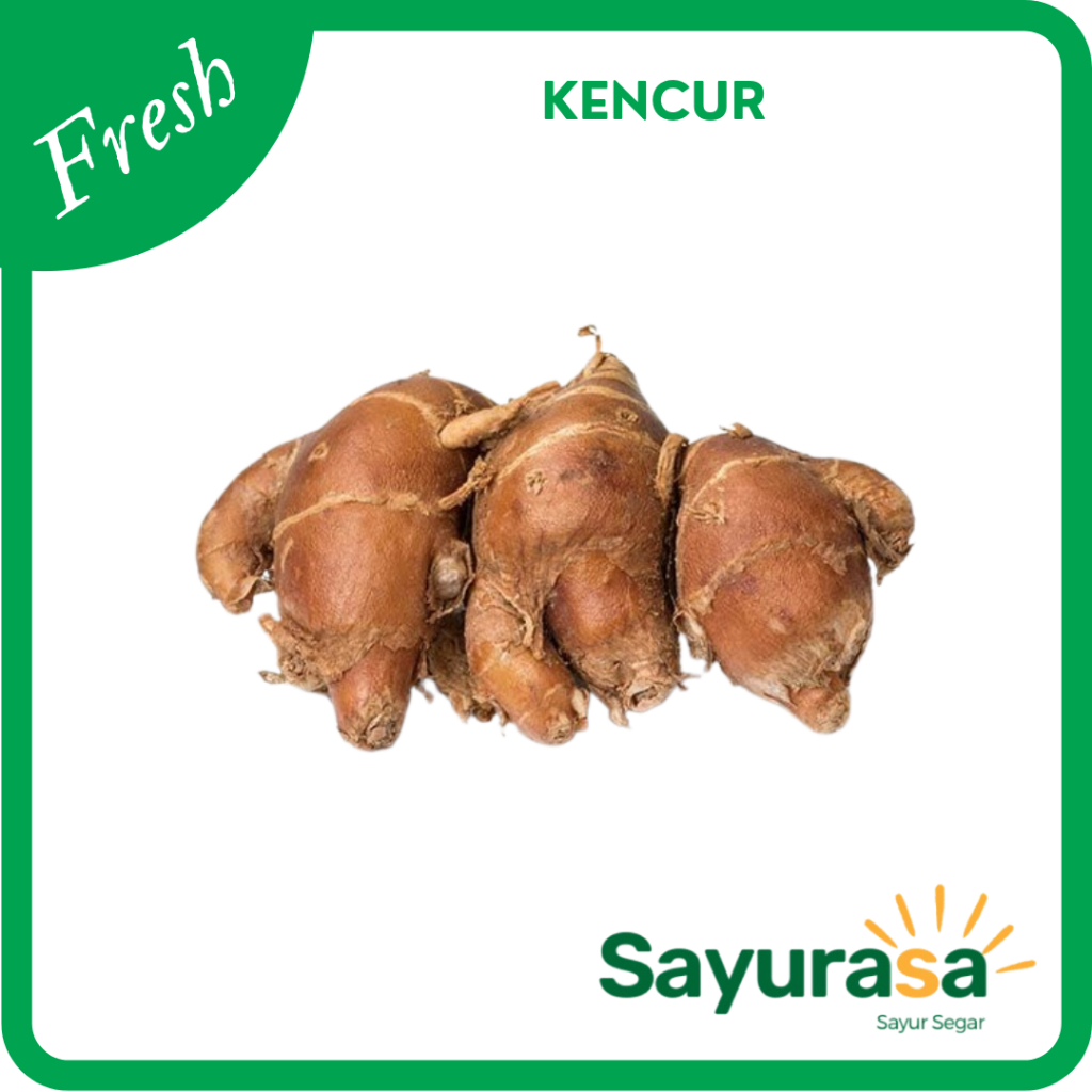 

Kencur Segar / Kencur Fresh 250 gram