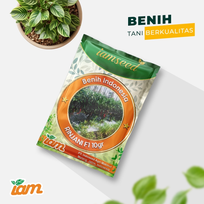 

Rinjani F1 10gr | Cabai besar keriting