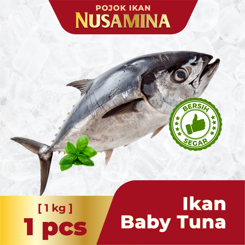 

Nusamina Ikan Baby Tuna Yellowfin Utuh Bersih Segar Frozen 1pcs /1kg