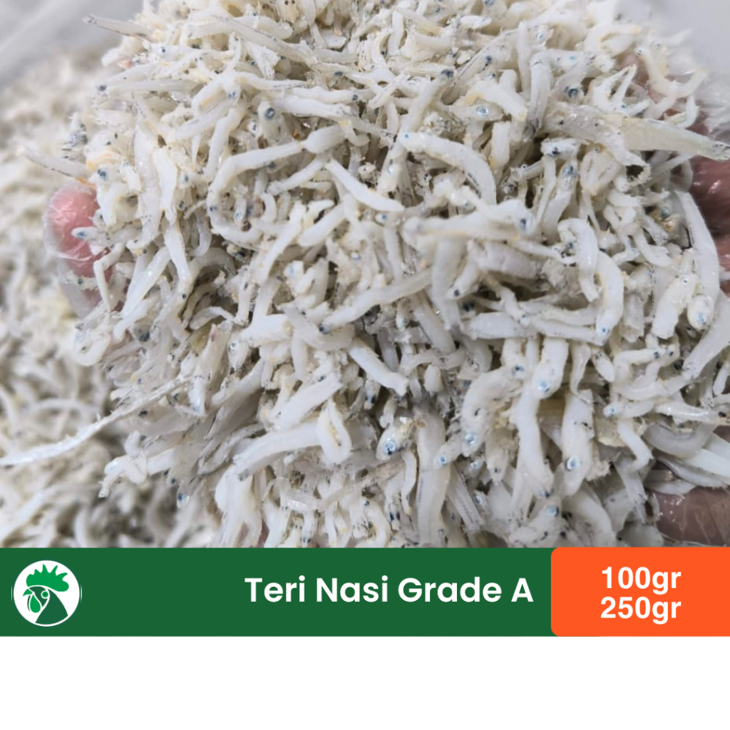 

Ikan Teri Nasi Medan | Kualitas Premium Grade A