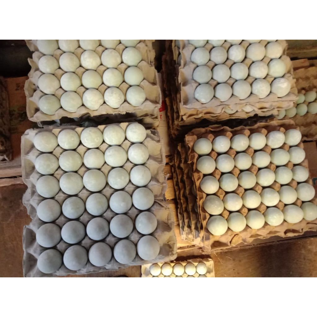 

telur asin (6 pcs) Masir asli pangon