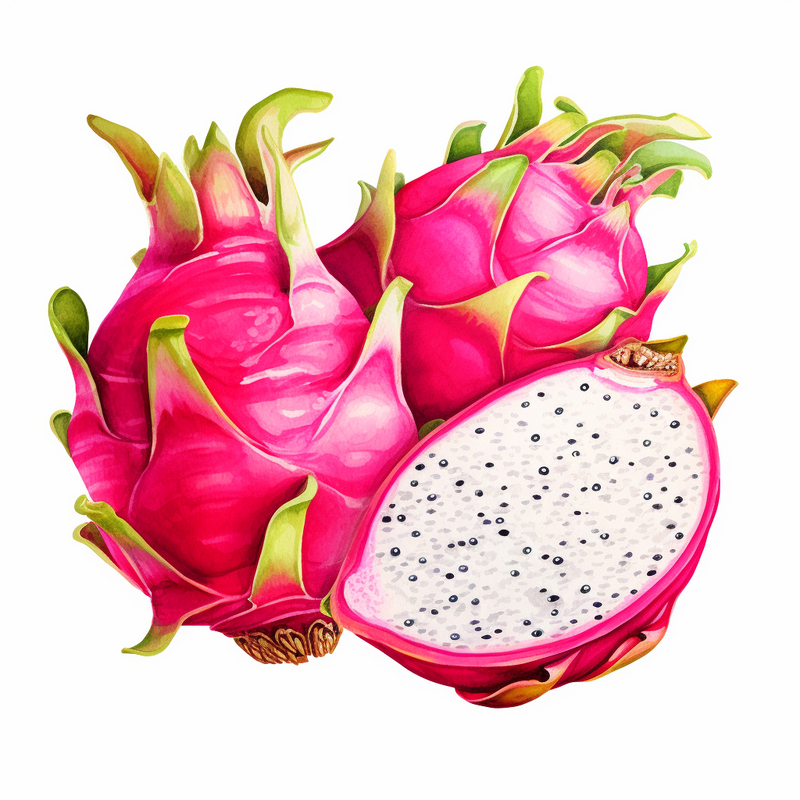 BUAH NAGA PUTIH VIETNAM SUPER UNGGUL 5 BIJI BENIH BUAH NAGA PUTIH SUPER F1 BERKUALITAS