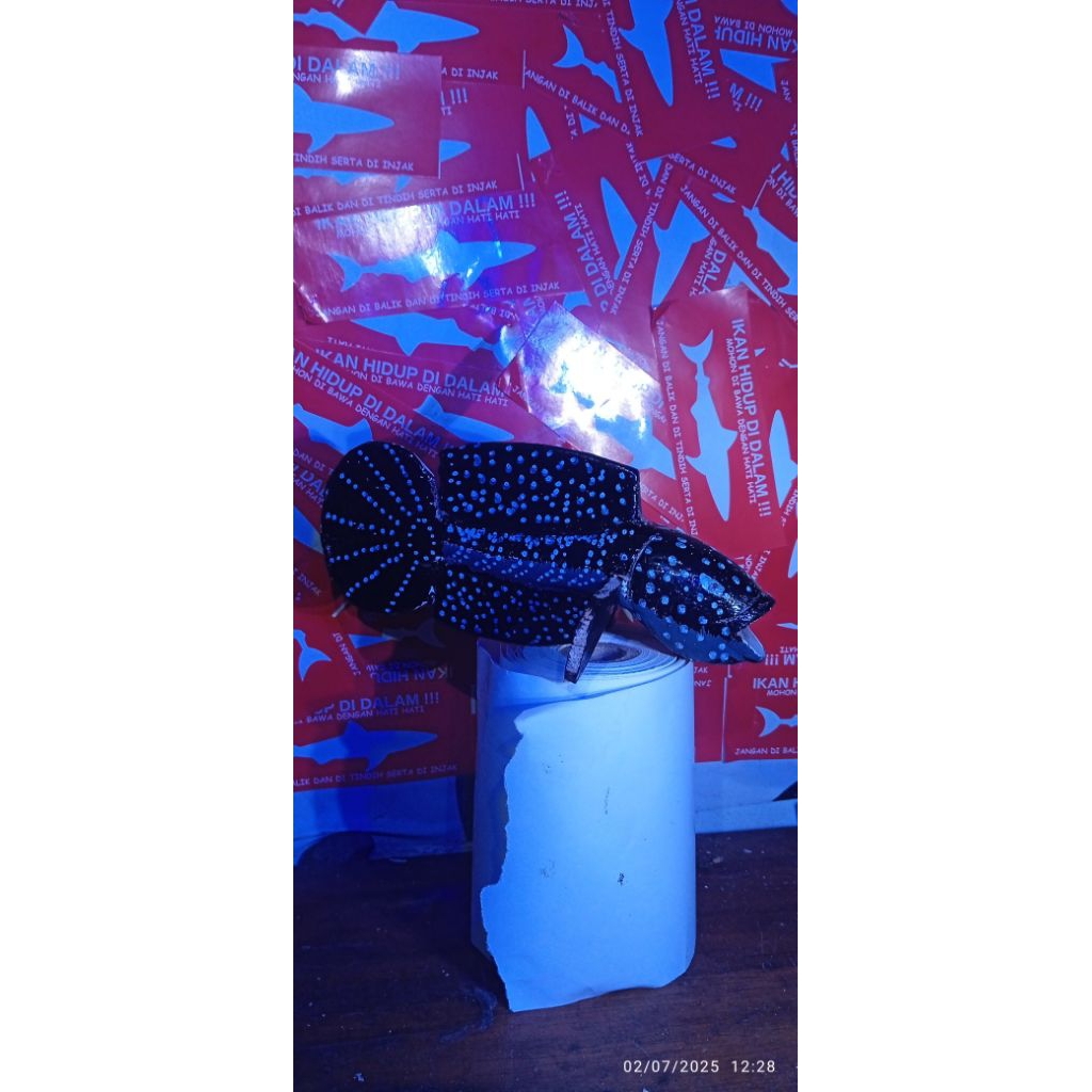 patung channa asiatica