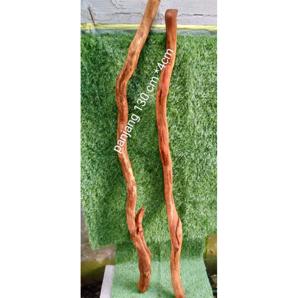 kayu aquascape akar santigi gunung