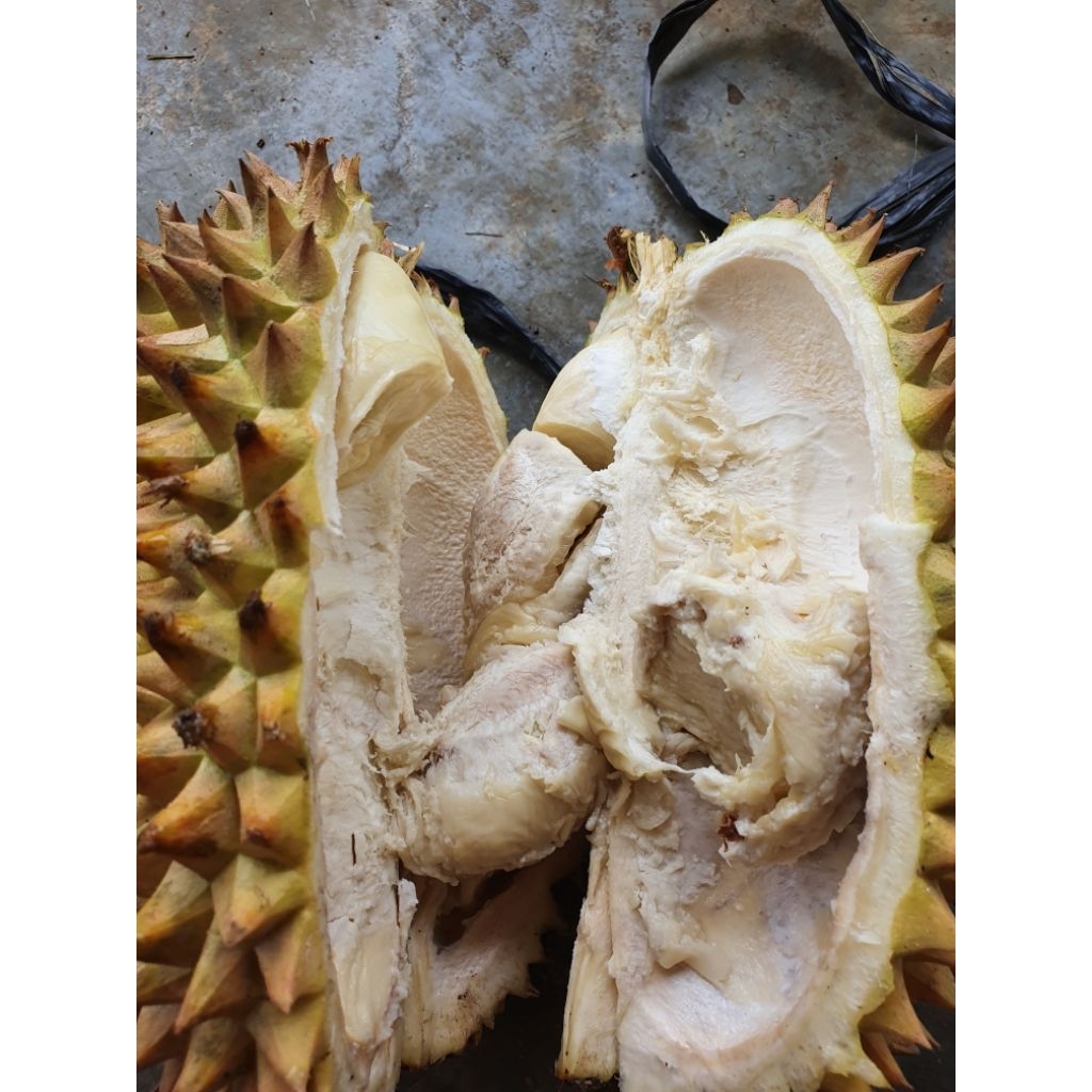 

durian monthong super