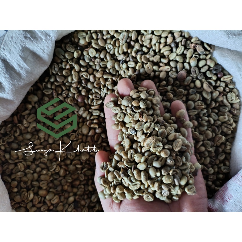 

Biji Kopi Robusta Sumatera