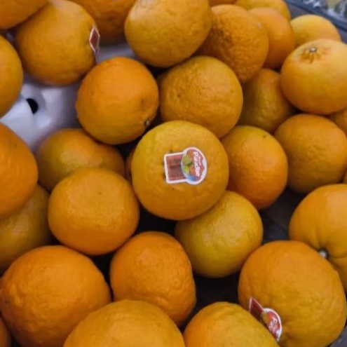 

Buah jeruk wokam manis super import 1 kg