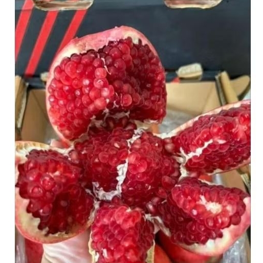 

Delima India Manis 1Pcs