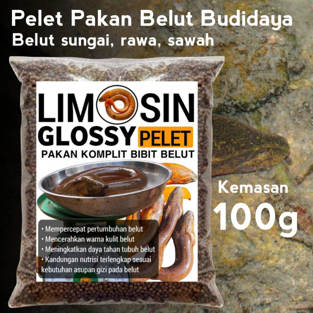 Pelet pakan belut ternak budidaya Limosin glossy