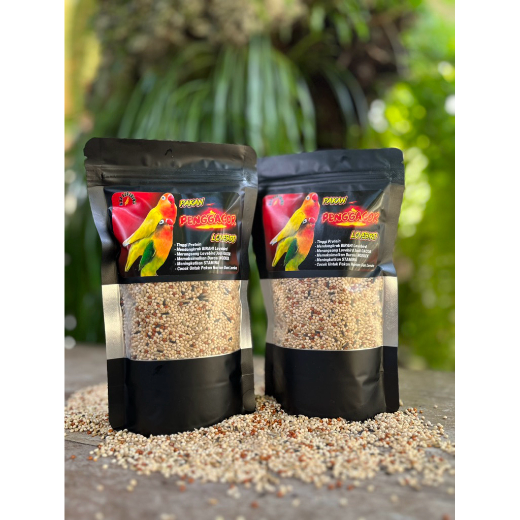 Pakan Penggacor lovebird