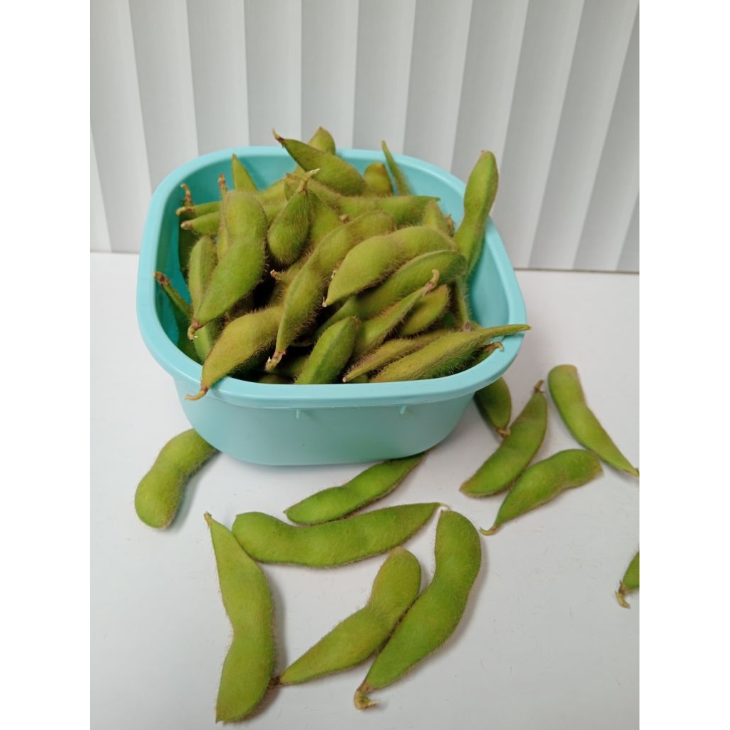 Edamame mentah 1kg