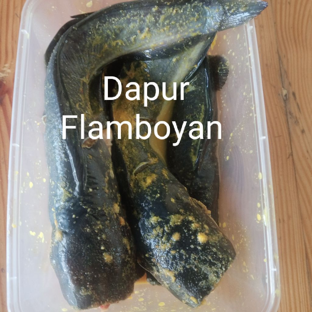 

Lele Kuning siap goreng bobot hidup 1 kg isi 8