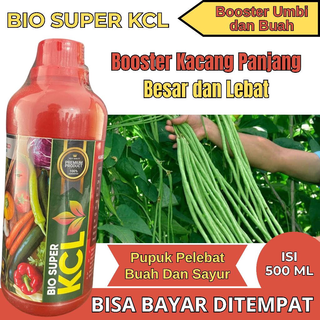 Bio Kcl 500 ml – Pupuk Cair Organik untuk Kacang Panjang, Polong Lebat & Cepat Panen