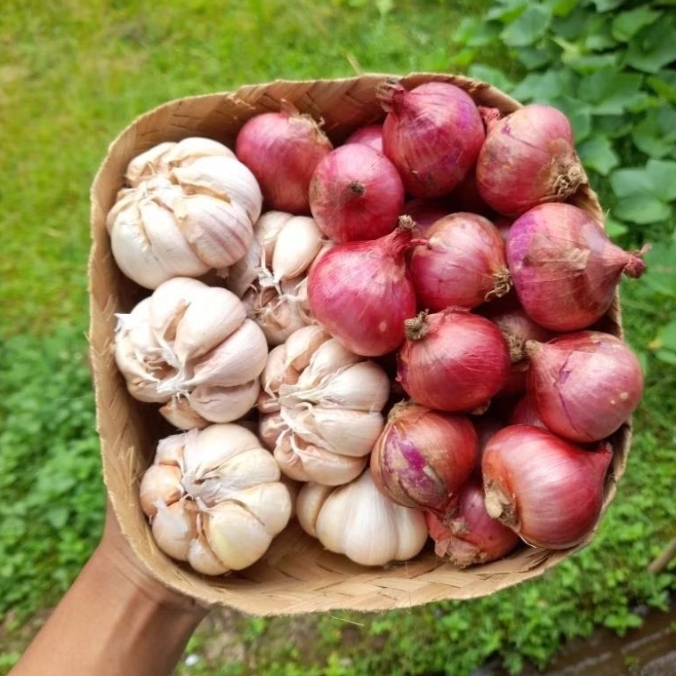 

500gr Paket Hemat Bamer 250gr + Baput 250gr Freshh