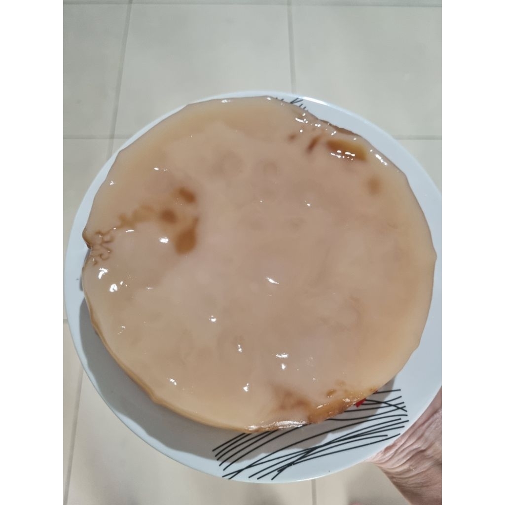 

Bibit Scoby Kombucha JUMBO Premium tebal +/- 3 cm diameter +/-15 cm FREE starter 1 botol tambahan